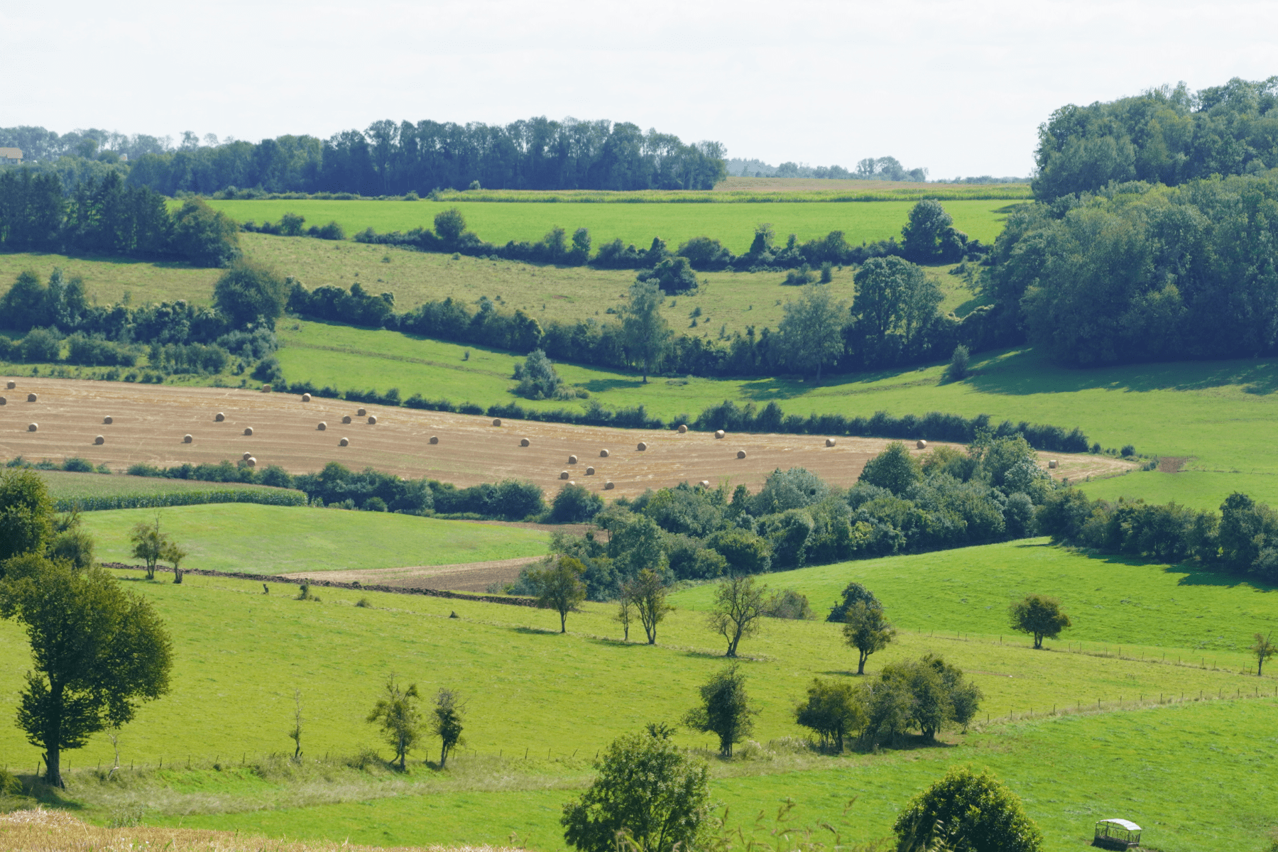 Agriculture en Ardennes Thierache