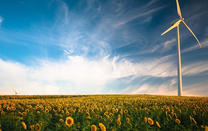 rejoindre une startup de l'environnement, de l'écologie et du développement durable