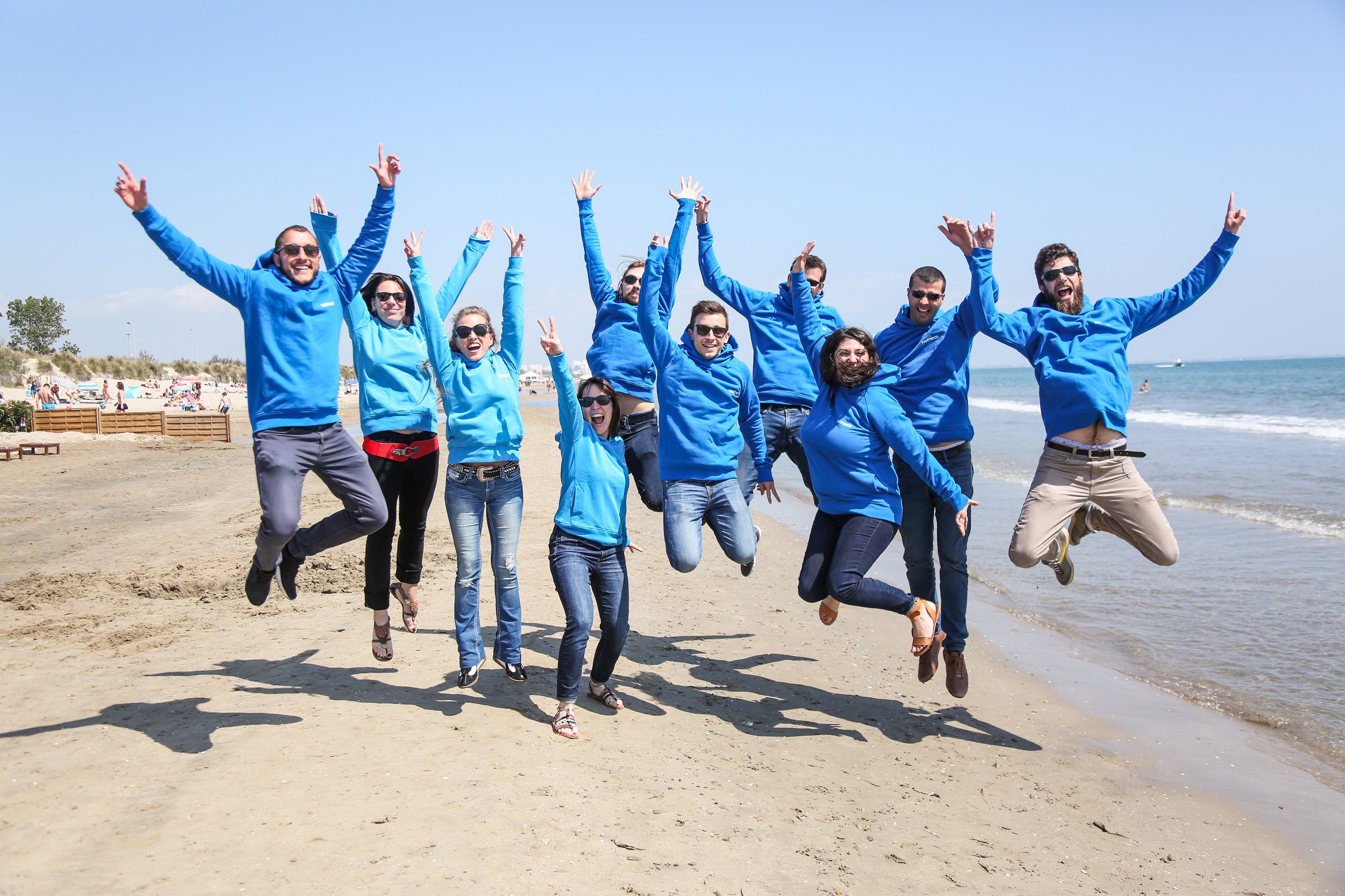 emploi montpellier netheos