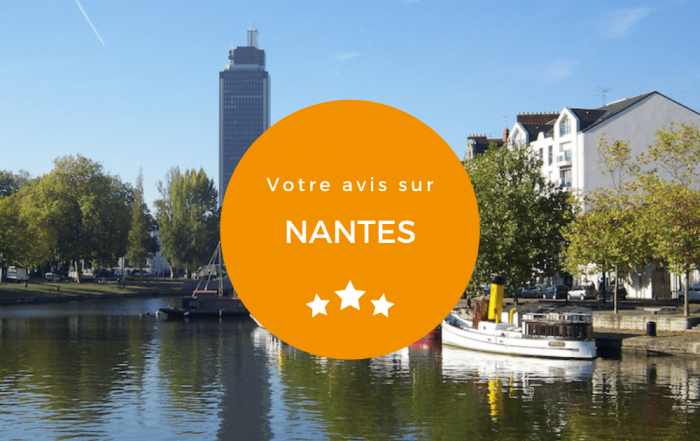 avis-nantes-main