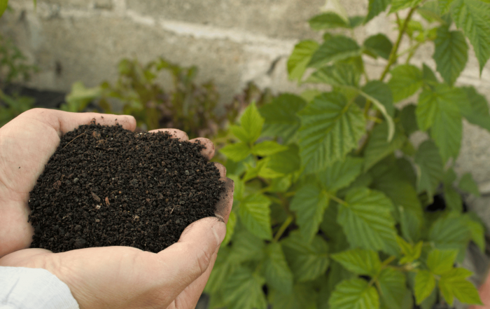 se reconvertir et apprendre la permaculture en sologne