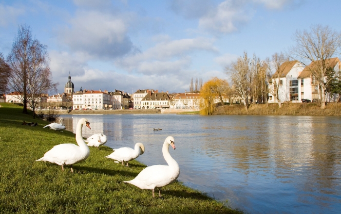 recherche logement chalon