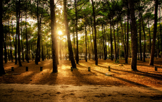 quitter paris pour les landes