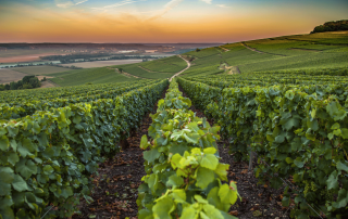 les blogs pour découvrir reims