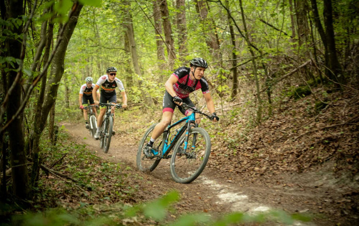 Télétravailler Troyes