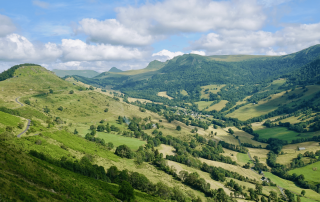paysage dans le cantal