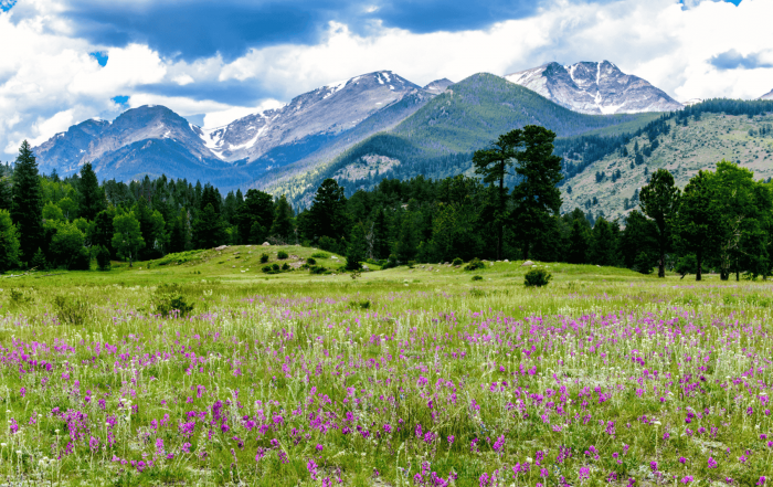 Printemps à la montagne