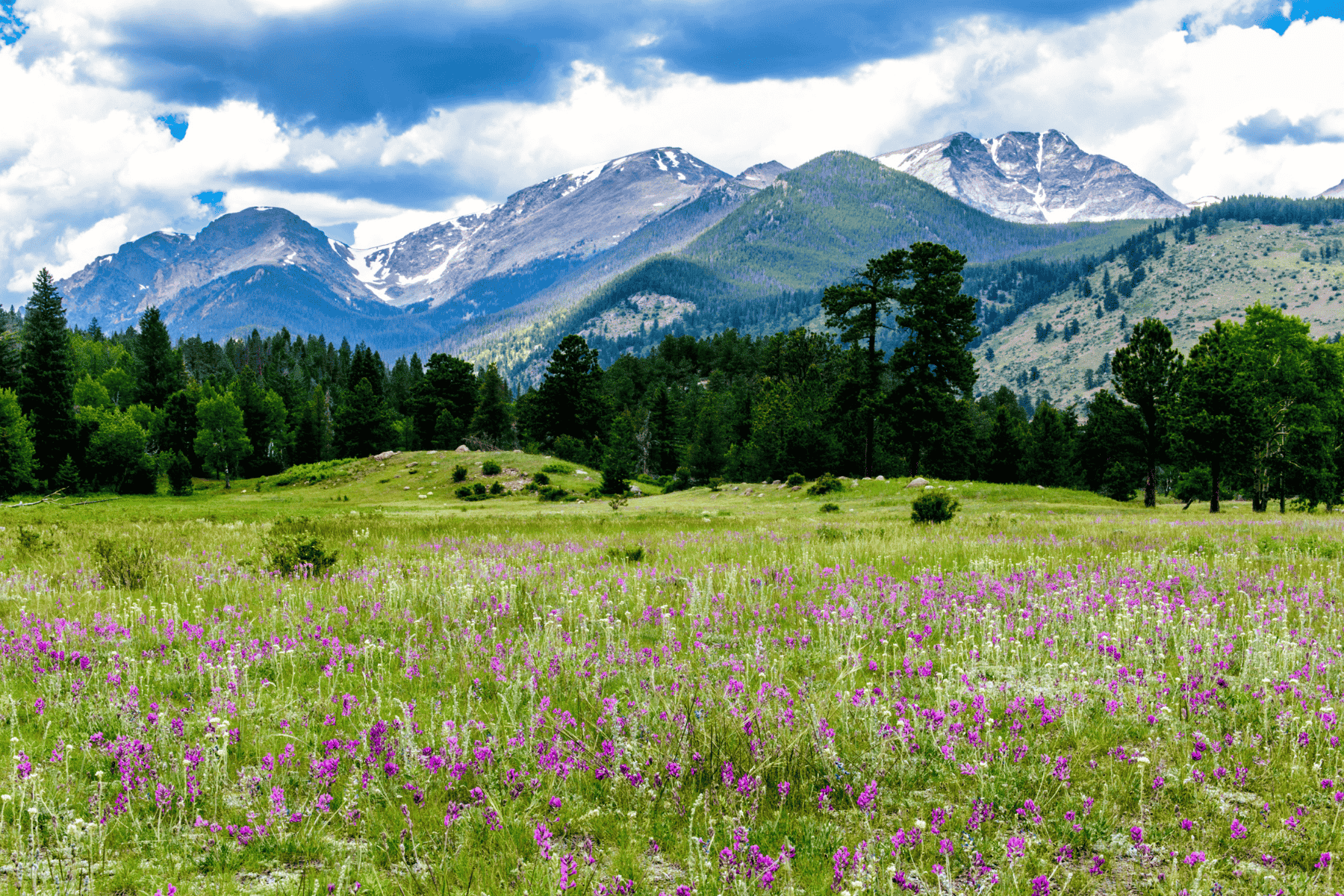 Printemps à la montagne