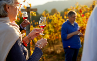 Dégustation dans les vignes à Beaune