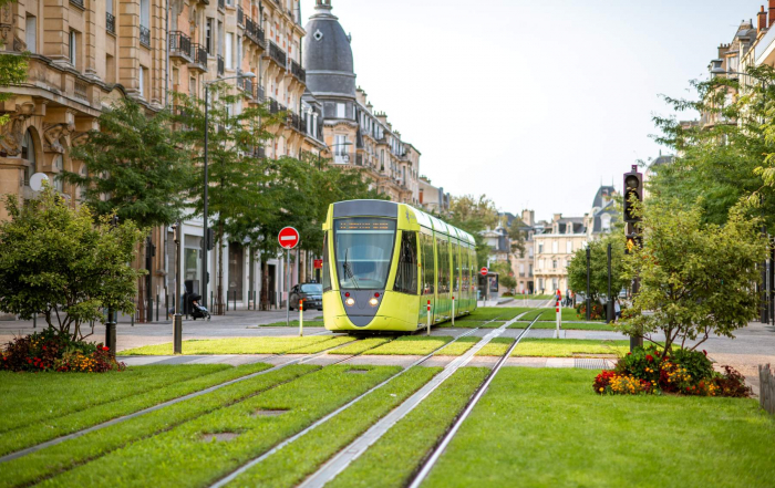 biodiversité en ville