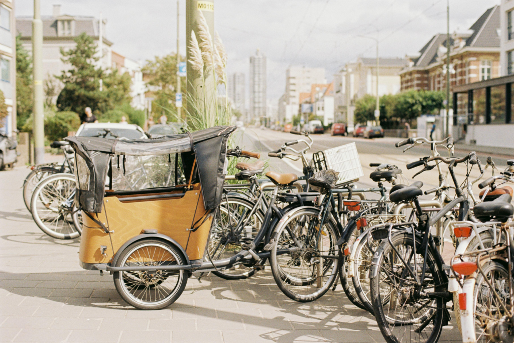 biodiversité en ville