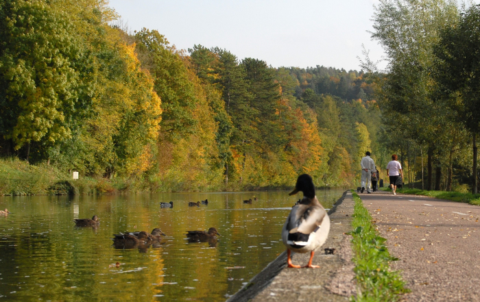 vu sur le canal de Chaumont en Haute-Marne
