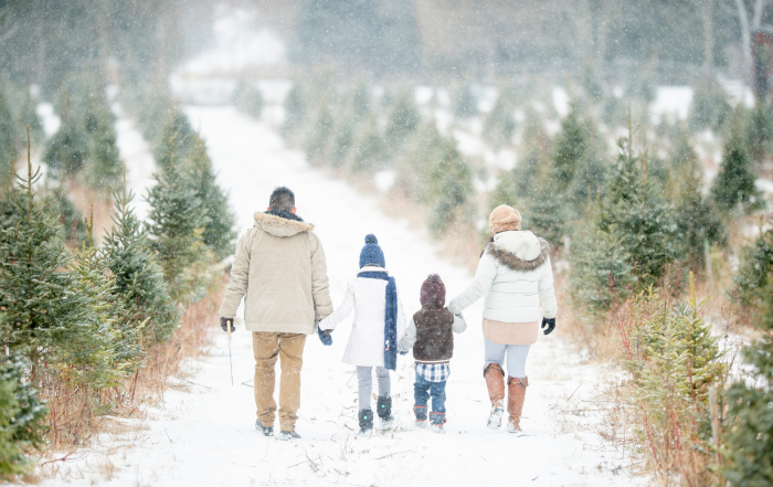 Famille se baladant dans la nature en hiver