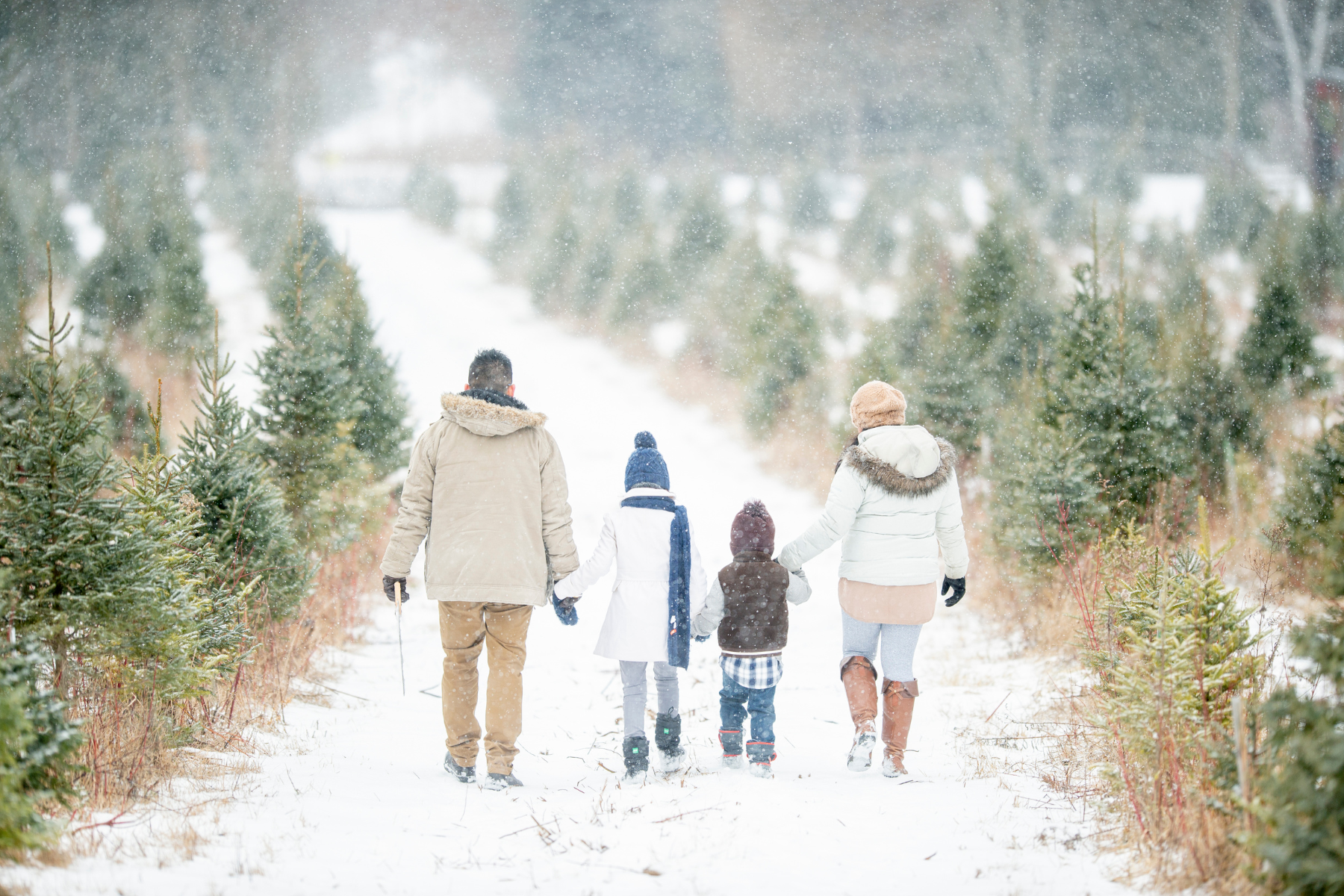 Famille se baladant dans la nature en hiver