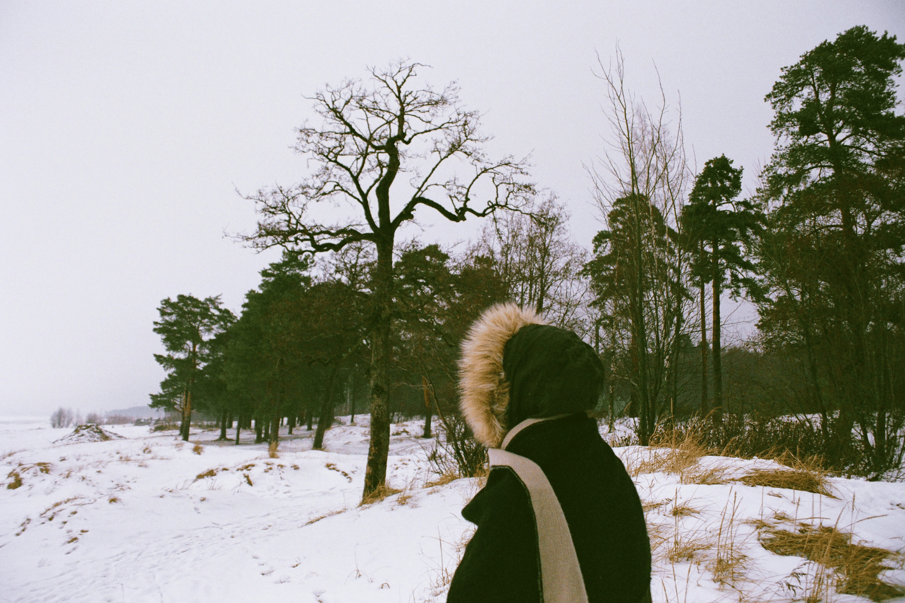 femme avec un manteau d'hiver se promenant dans la nature sous la neige