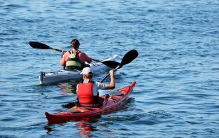 2 personnes en kayak pagaient sur l'eau