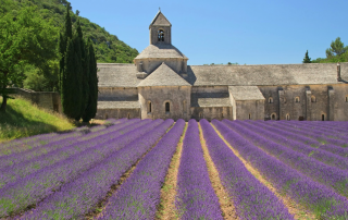 Abbaye de Sénanque entourée de champs de lavande dans la vallée du Luberon