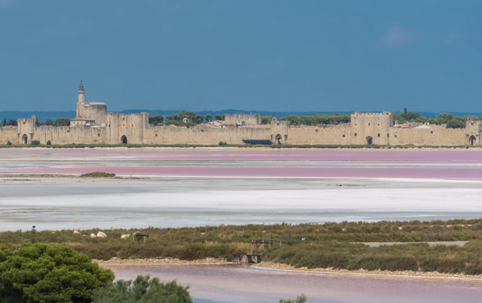 Aigues-Mortes, Salins du Midi