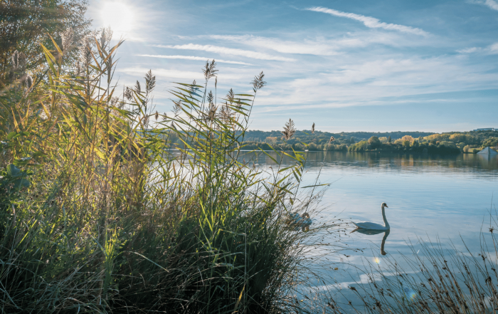 vue du lac de cergy