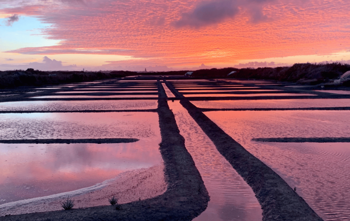 coucher de soleil sur les marais salants de Guérande en France
