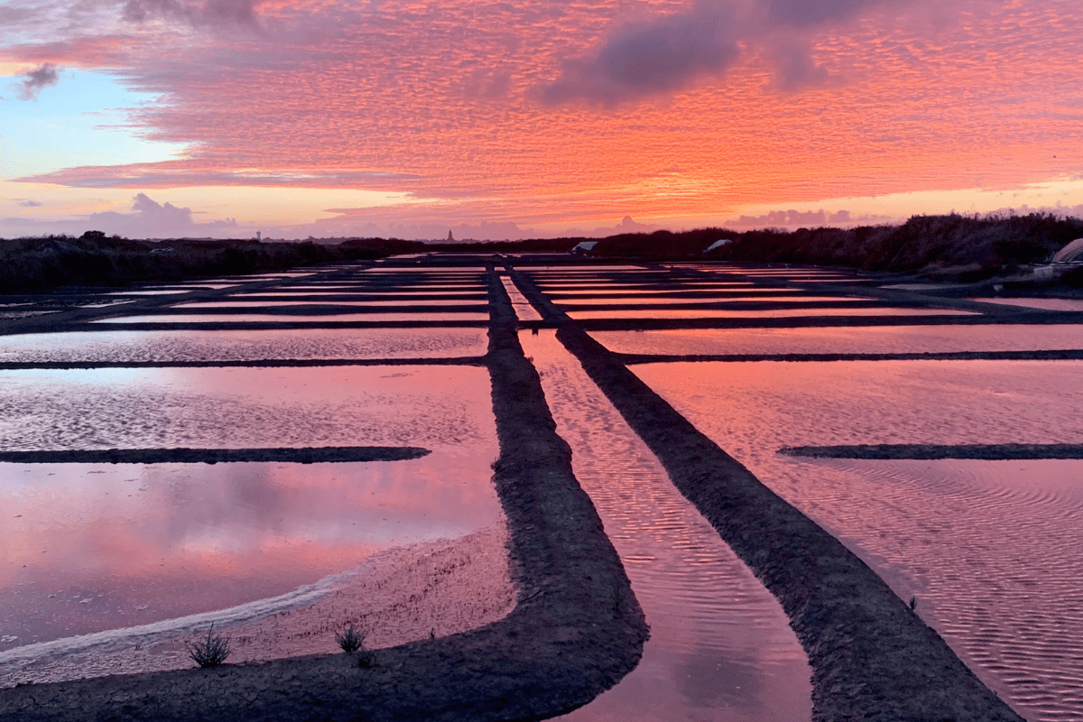 coucher de soleil sur les marais salants de Guérande en France