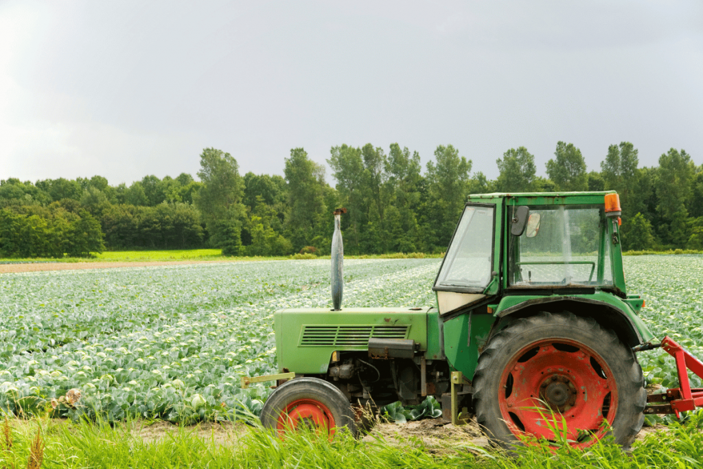 paysage représentant l'agriculture en France