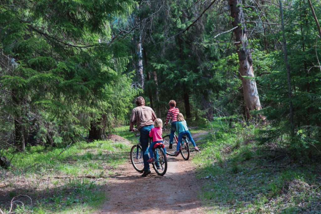 balade en vélo en famille dans la forêt