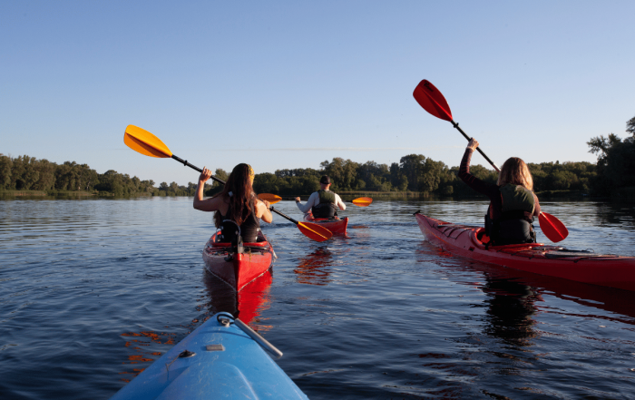 groupe d'amis qui font du canoë sur une rivière ou un fleuve