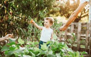 un enfant heureux dans le potager de son jardin