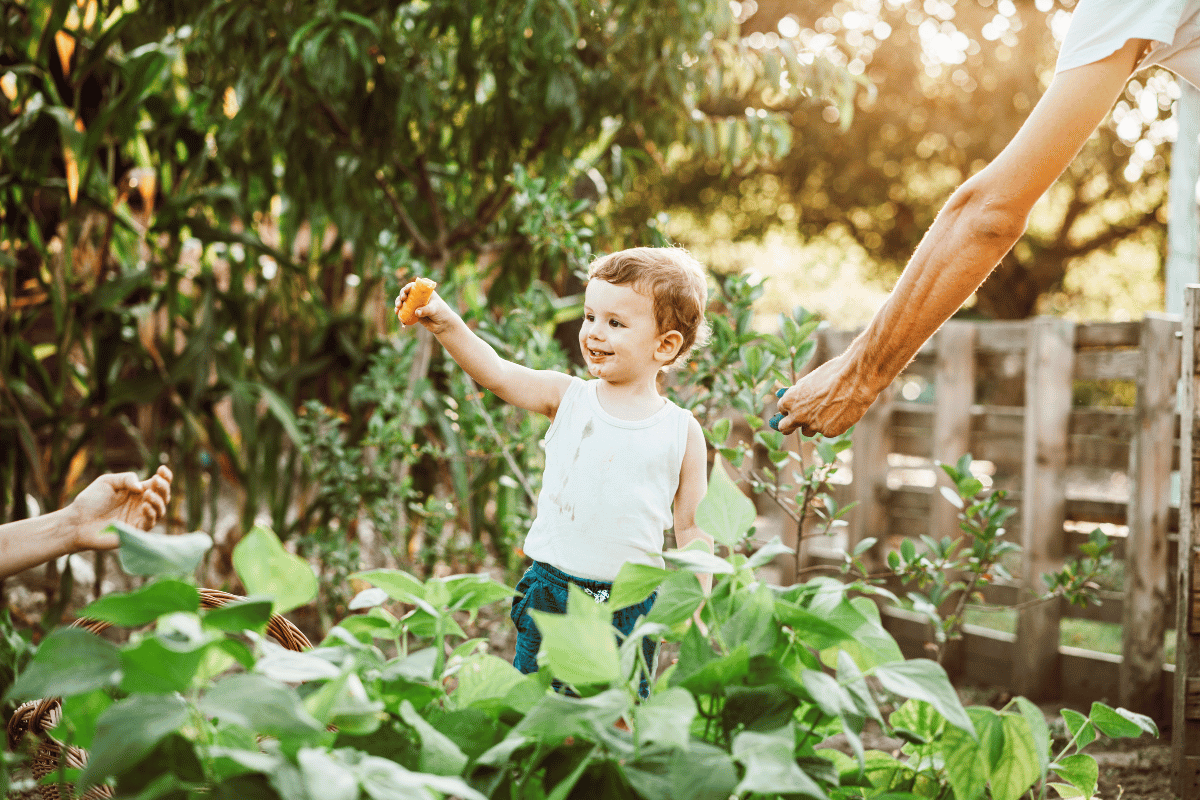 un enfant heureux dans le potager de son jardin