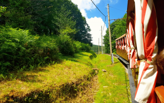 le petit train de la Rhune dans le pays Basque en France