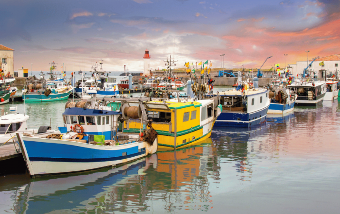 vue du port de la Cotinière à l'île d'Oléron en Charente-Maritime