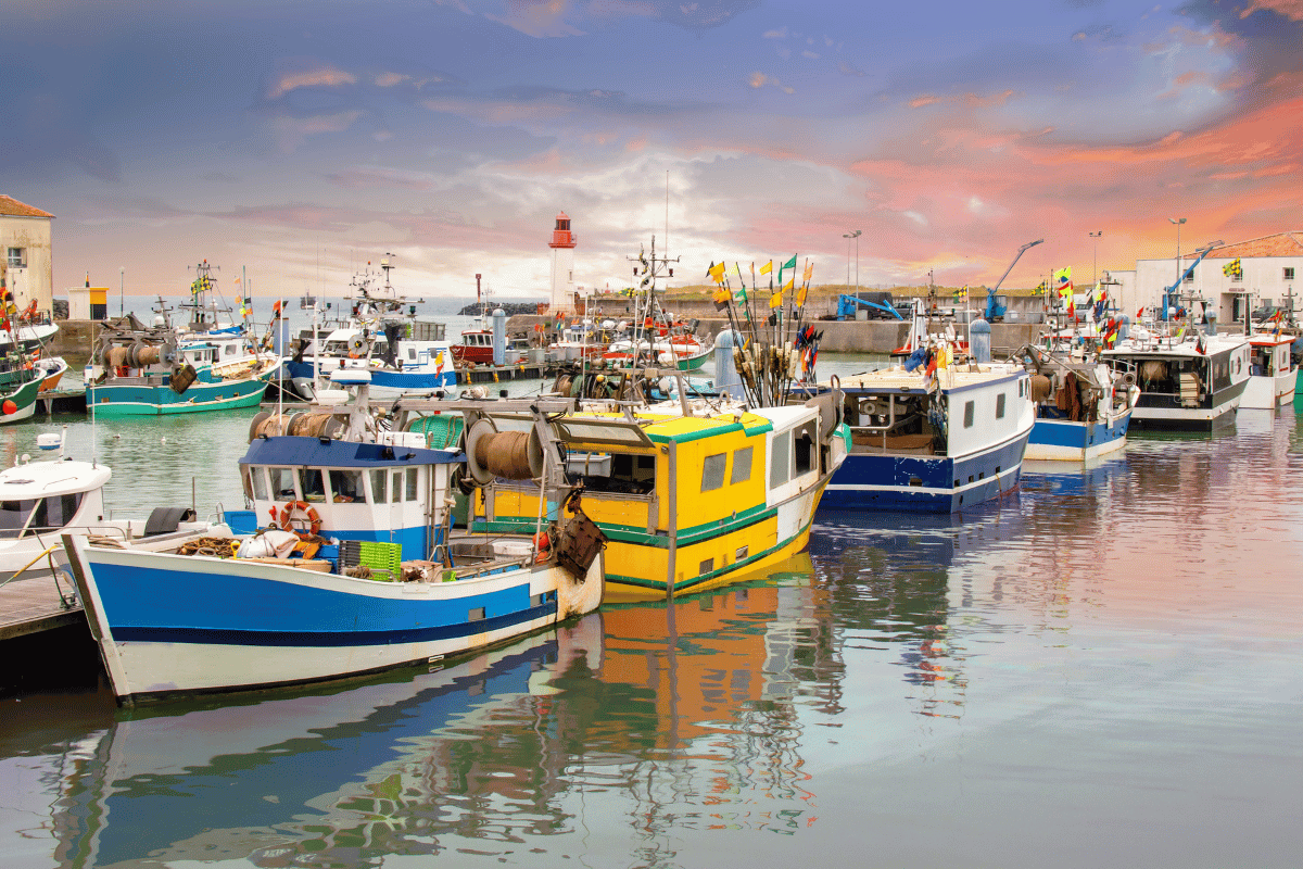 vue du port de la Cotinière à l'île d'Oléron en Charente-Maritime