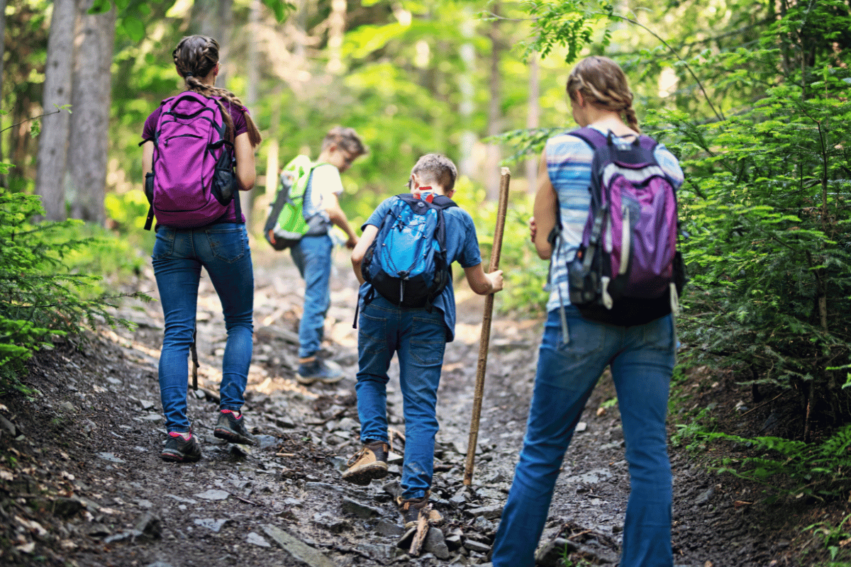famille en train de faire une randonnée dans une forêt