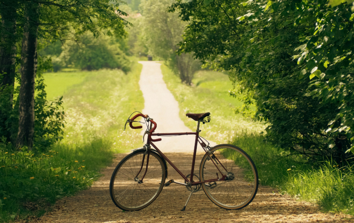 velo au milieu d'une voie verte en pleine campagne