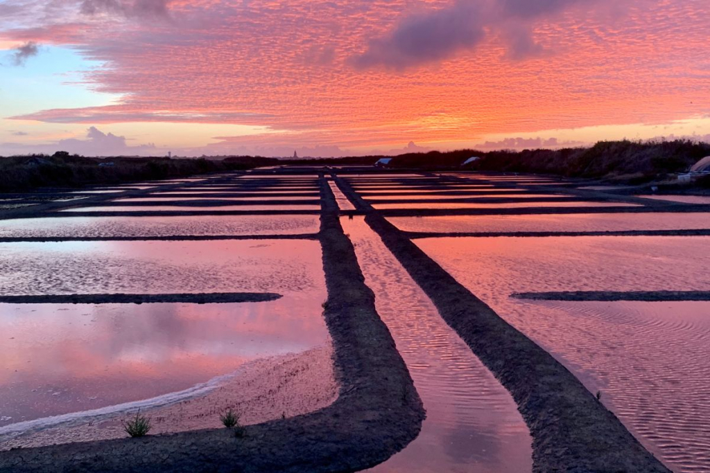 coucher de soleil sur les marais salants de Guerand
