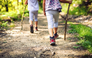 des jeunes enfants qui marchent dans une forêt avec des petits bâtons de marche