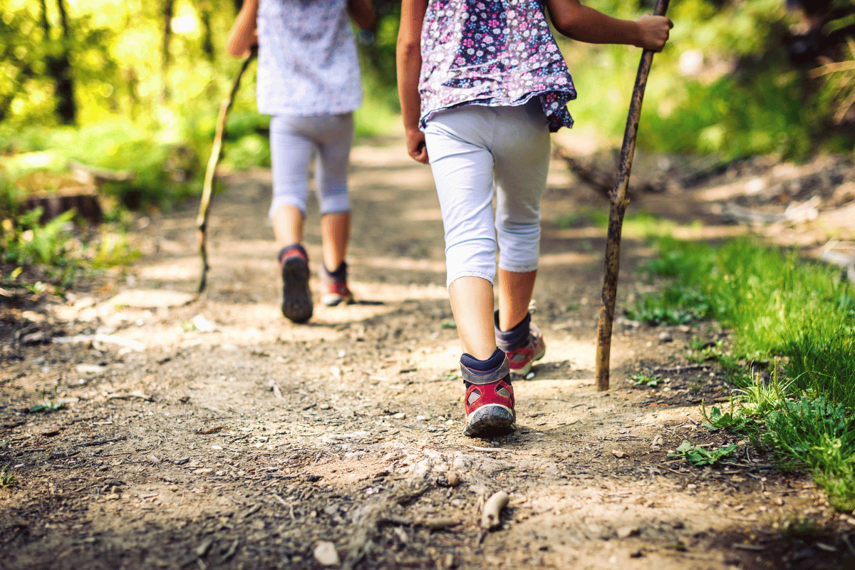 des jeunes enfants qui marchent dans une forêt avec des petits bâtons de marche