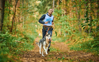 homme qui pratique du canicross en forêt avec son husky